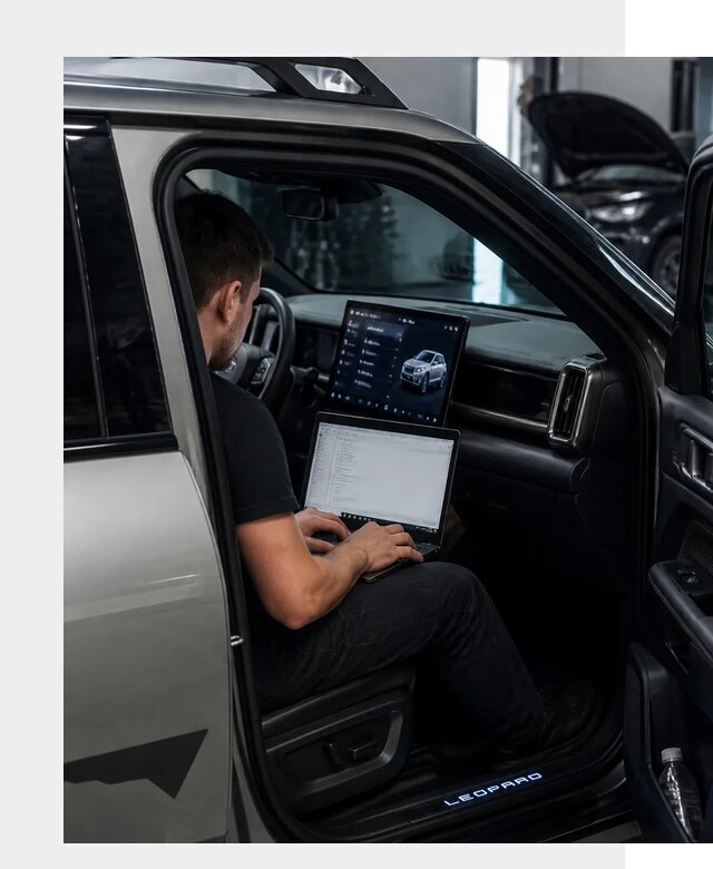 Русификация BYD Leopard 3 в Лесне по цене от 20686 р. | ФастМобиль-Лсн